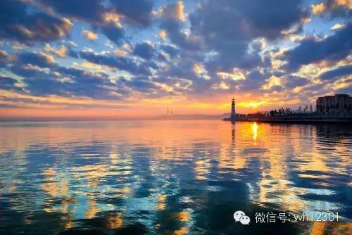 威海有毒海洋生物,威海有毒的海鱼