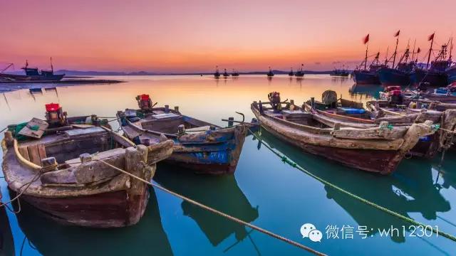 威海有毒海洋生物,威海有毒的海鱼