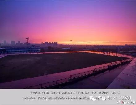 威海有毒海洋生物,威海有毒的海鱼