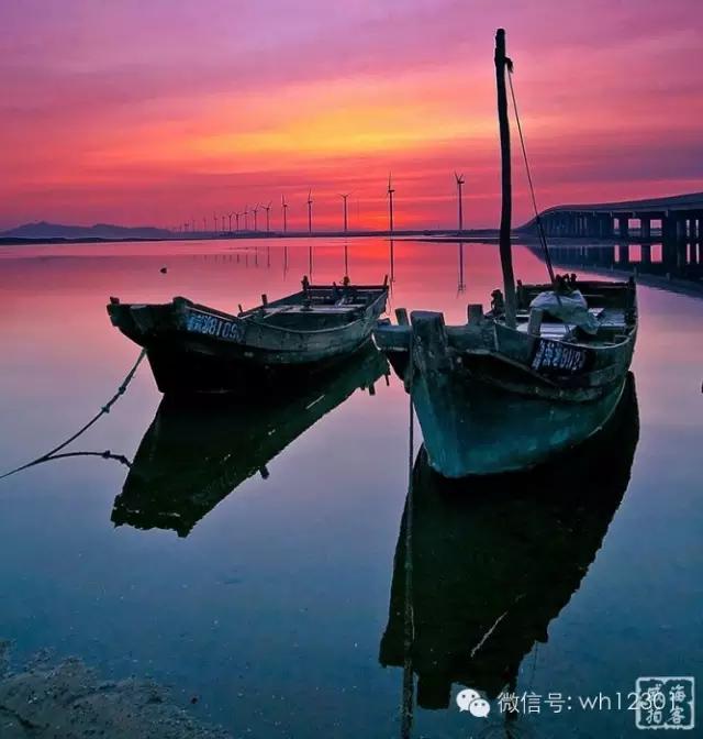 威海有毒海洋生物,威海有毒的海鱼