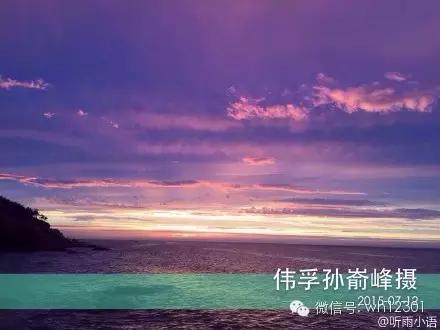 威海有毒海洋生物,威海有毒的海鱼