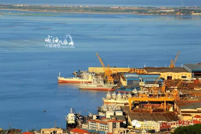 威海有毒海洋生物,威海有毒的海鱼