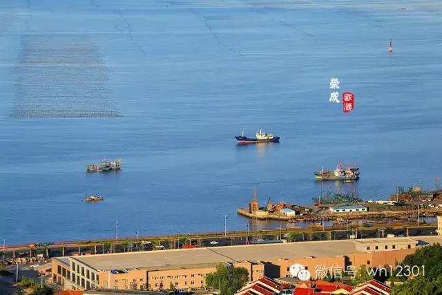 威海有毒海洋生物,威海有毒的海鱼