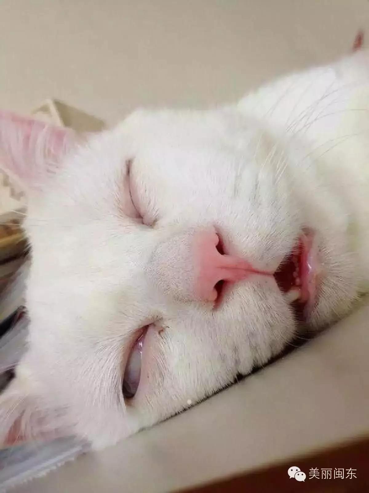 6招治宁德人春节假期综合症！让你满血复活上班!