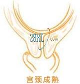 分娩预兆有哪些,啥叫分娩前的预兆