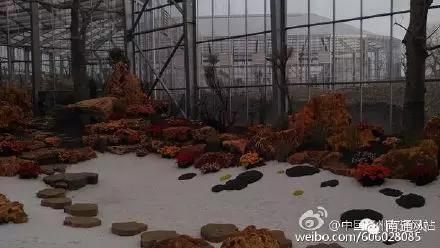 南通人可以免费的景点,南通人都去哪里玩