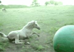 以最高艺术逼格，观看一部将近百年前的鬼片，这事得了解一下