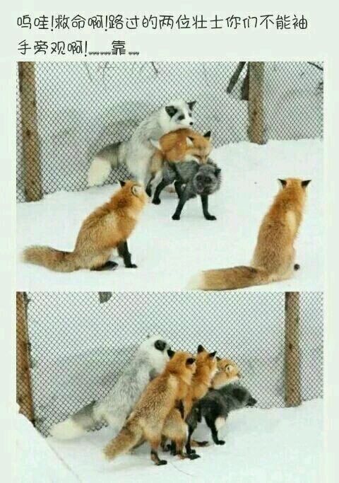 没其他想说的，今天周末，大家耍开心就好!