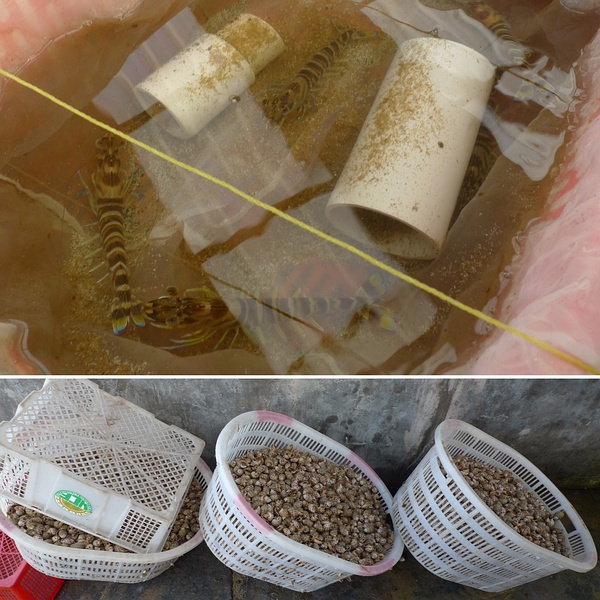 豆瓣日记：草潭往事