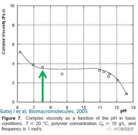 筋膜的润滑液——透明质酸