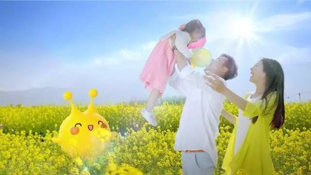 金鹰卡通获奖动画,金鹰卡通收视冠军