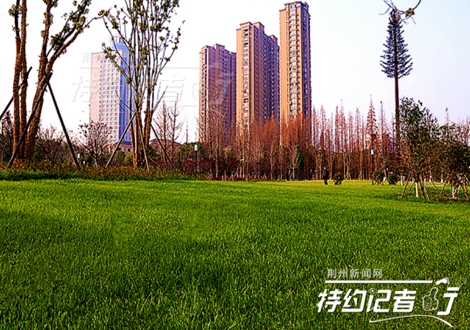 特约记者有用吗,特约记者团