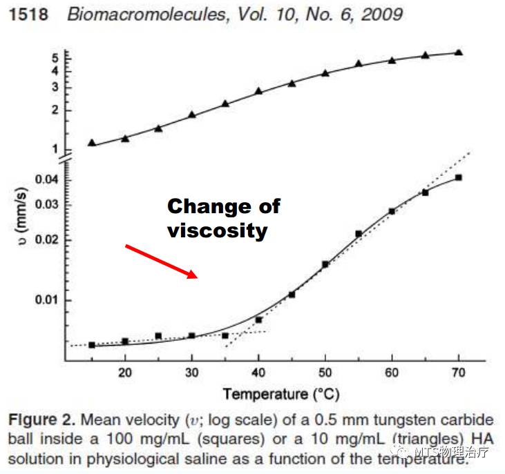 筋膜的润滑液——透明质酸