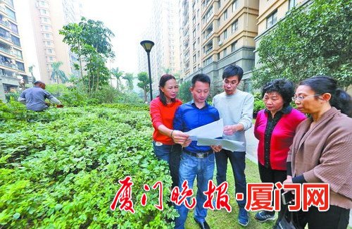 围墙栏杆脱漆业主当粉刷匠厦门社区治理业主抱团发力
