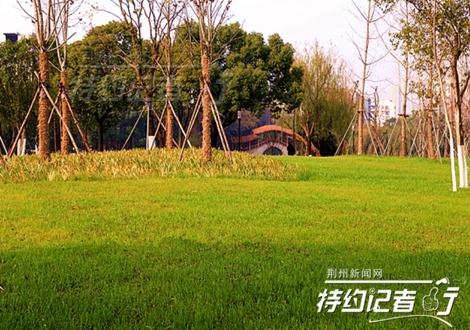 特约记者有用吗,特约记者团