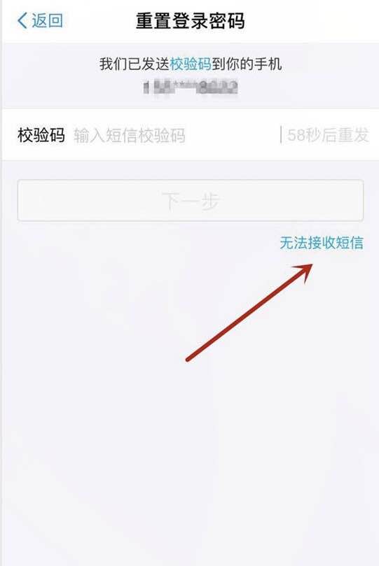 支付宝密码被人更改怎么登录,支付宝改了密码其他手机还能登录