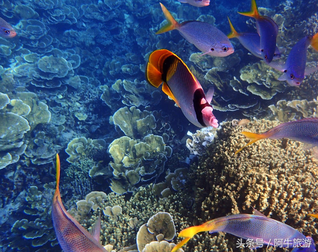 春日美丽的风景,春日里的风景美景
