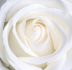 女孩子生理必备知识,女生需要关注的生理小知识