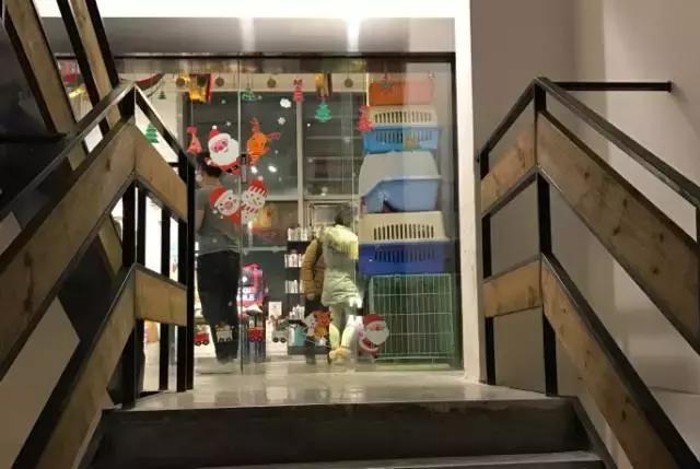 成都宠物寄养基地,成都狗狗寄养