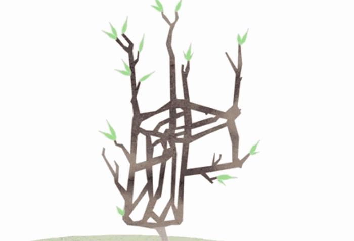 这个英国大叔从地里“种”出了一把椅子，价值2万多！