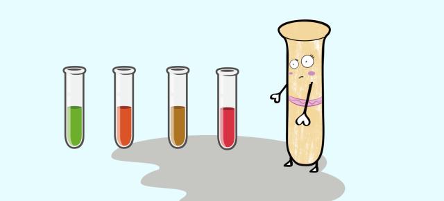 它的颜色英语怎么说,它的颜色翻译英语