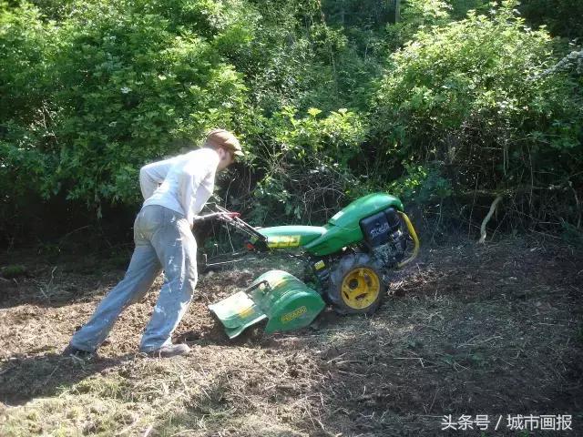 这个英国大叔从地里“种”出了一把椅子，价值2万多！