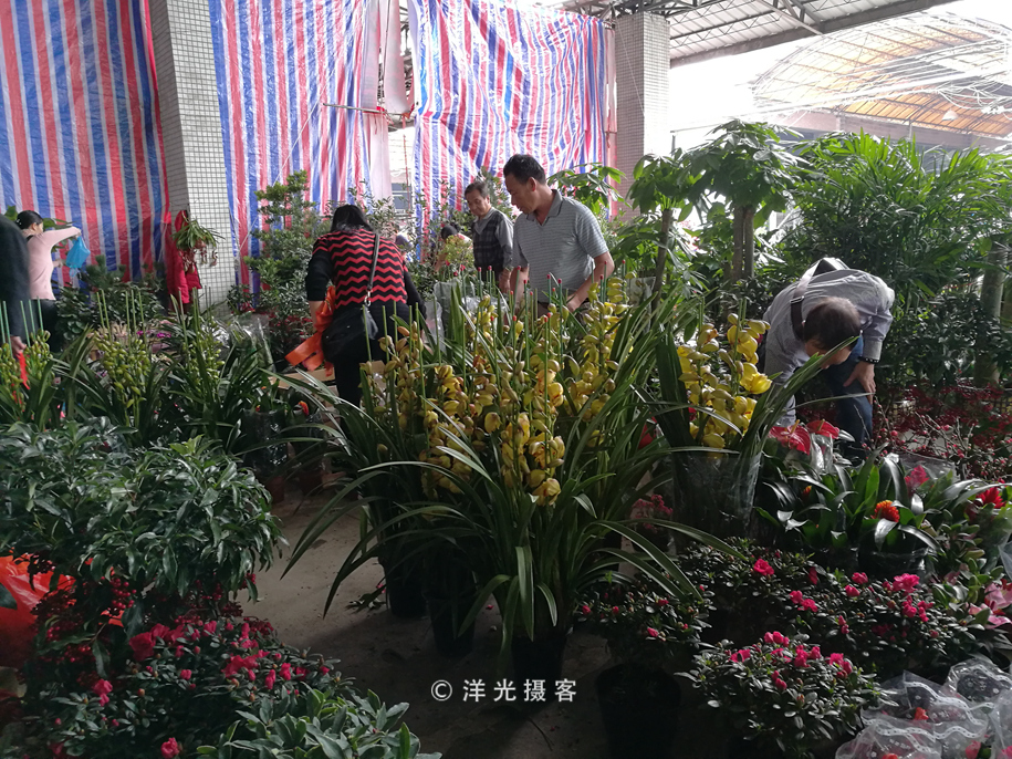 番禺各个镇大集时间表,广州去清远农村赶集