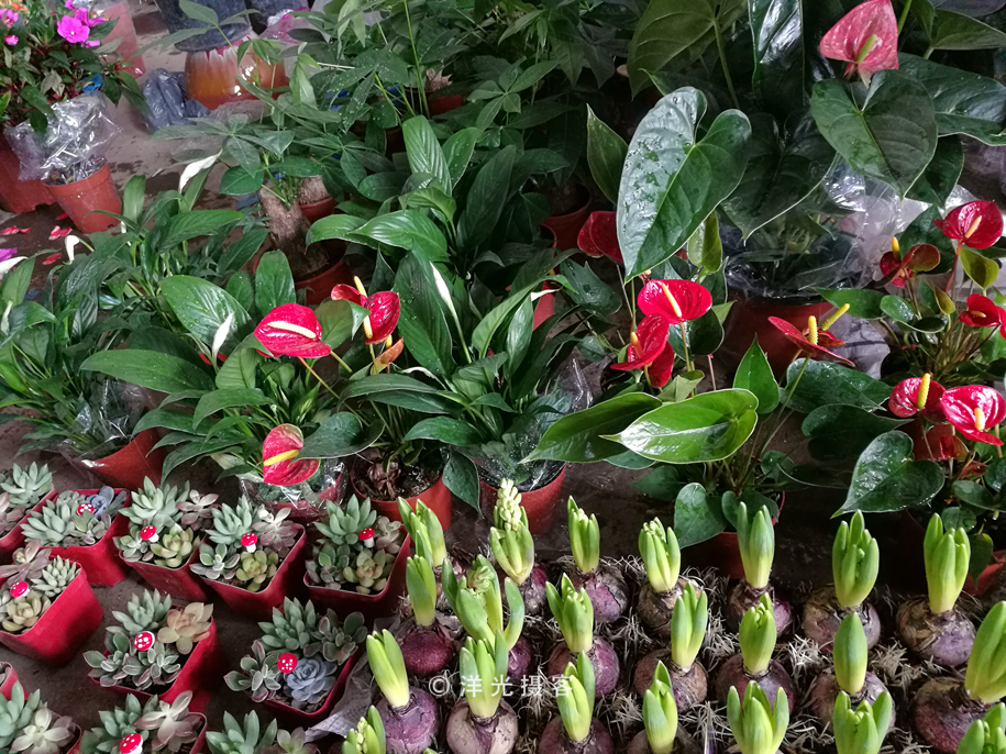 番禺各个镇大集时间表,广州去清远农村赶集