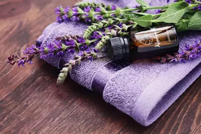 庄缇|“健康春节”系列——胃胀气怎么办？