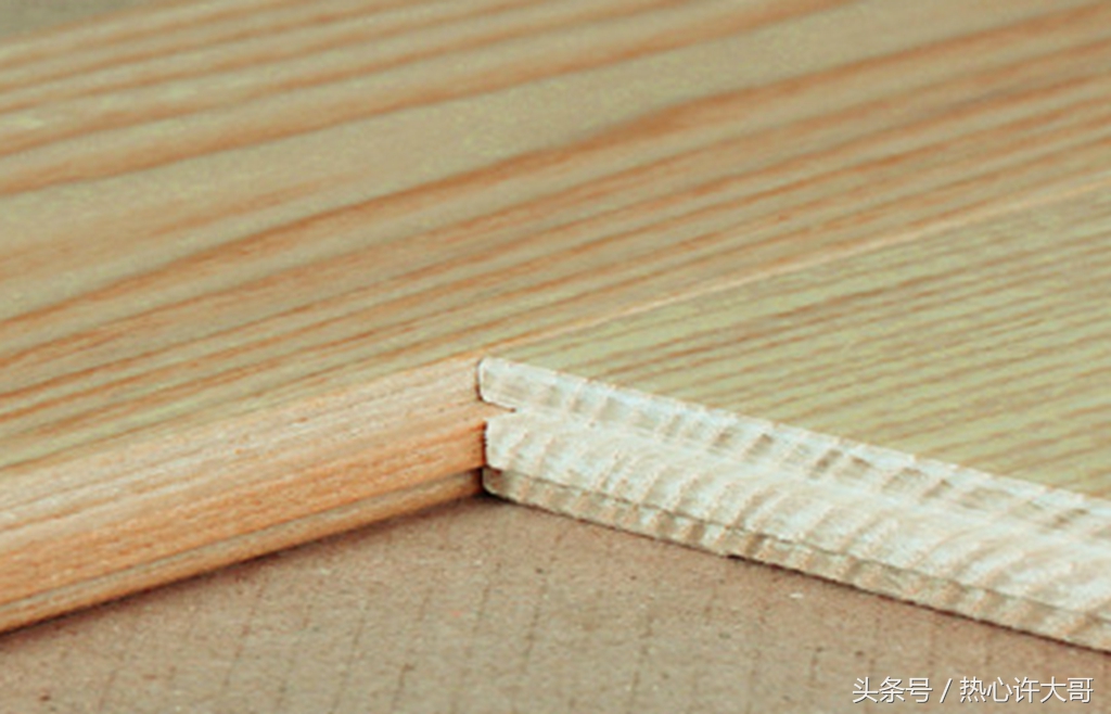 实木地板里面爬出虫子怎么办,装修完家里进虫子