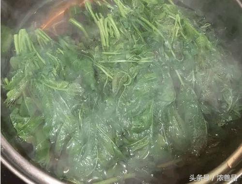 一种长在树上的野菜，营养价值名列前茅，难怪大家都爱吃！