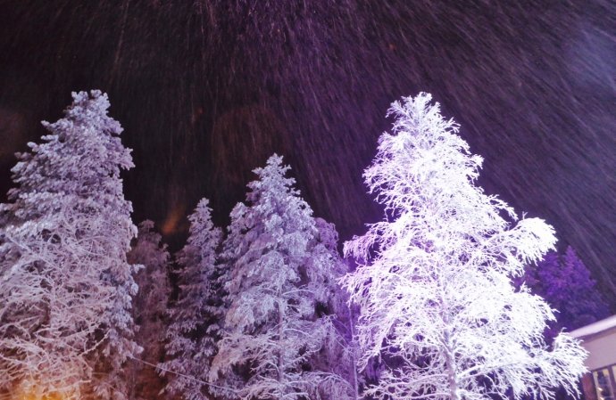 雪地桑拿和裸奔，北极光啊我等到花儿也谢了