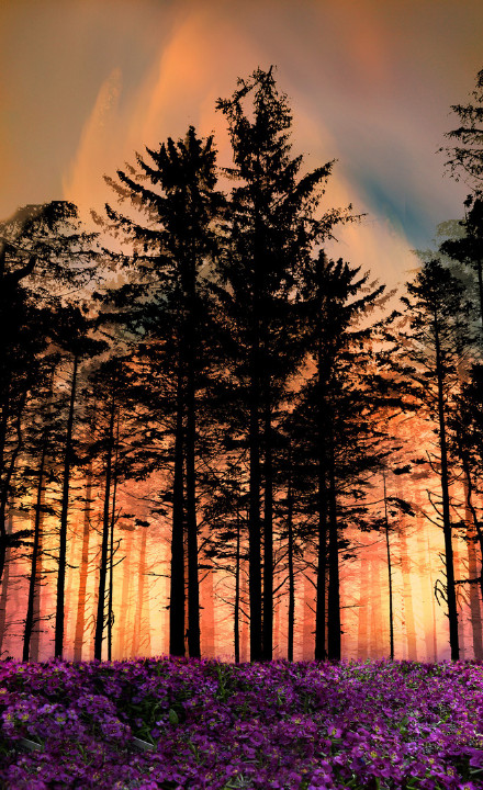 哀大莫过于心死，心死莫过于一笑