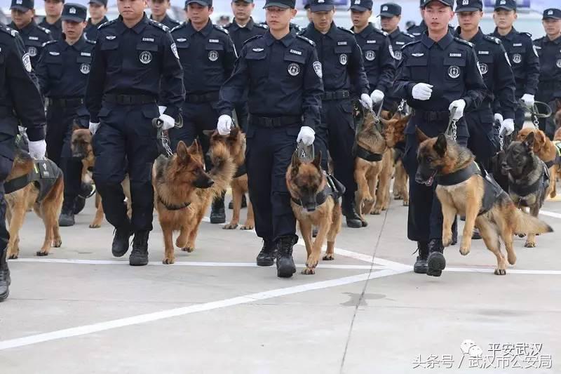 浜哄湪姹熸箹鐪熷疄闀栧眬瑙嗛,浜哄湪闀栧眬