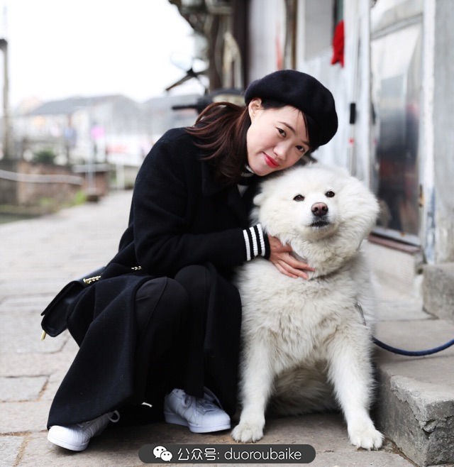 回忆之旅最适合带的植物,野外旅游必须记住的植物