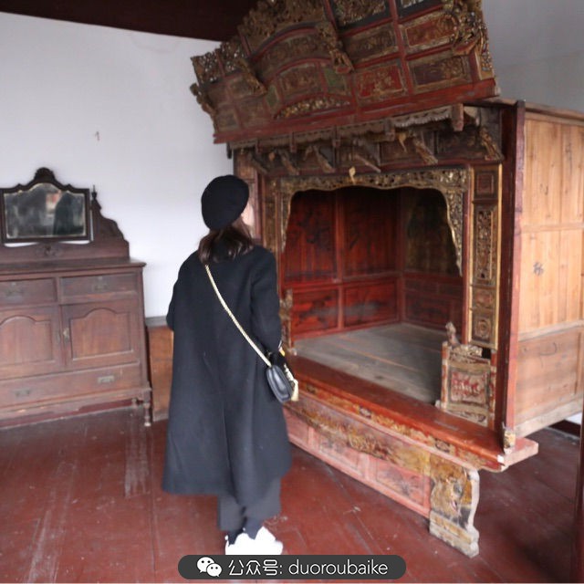 回忆之旅最适合带的植物,野外旅游必须记住的植物