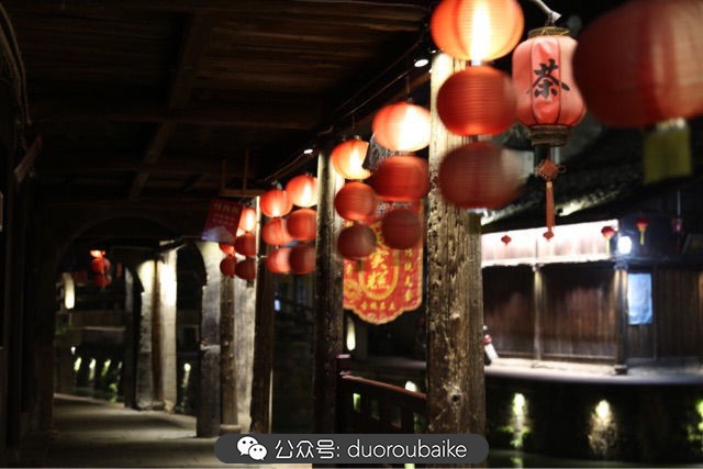 回忆之旅最适合带的植物,野外旅游必须记住的植物