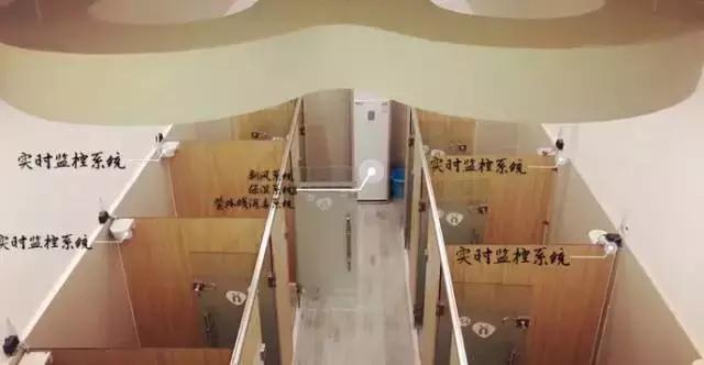 成都宠物寄养基地,成都狗狗寄养