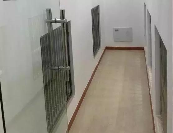 成都宠物寄养基地,成都狗狗寄养