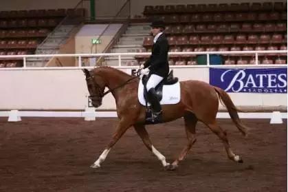 如何避免同质化竞争？看完这十个海外商业项目，或许能找到答案