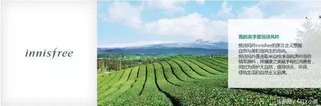 悦诗风吟是韩国牌子,韩国悦诗风吟遮瑕