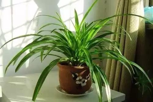 新床怎么除甲醛最快最有效的方法,新装修房子除甲醛最有效方法