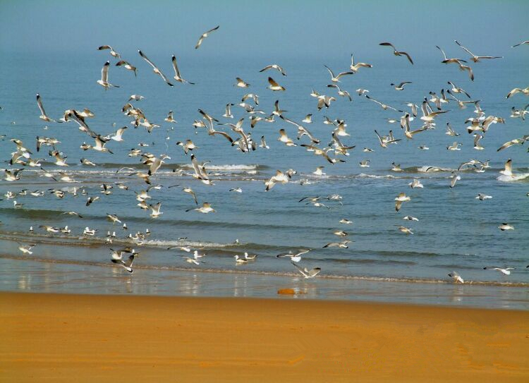 中国最适合居住的城市，就在山东！竟然不是青岛，而是它！