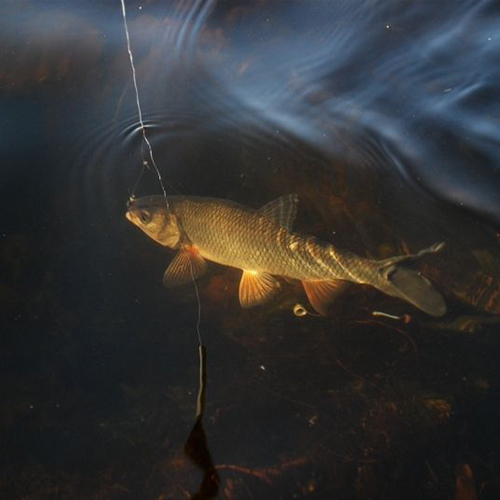 竞技体育独有的魅力,浮生万象荣誉挑战竞技外观展示
