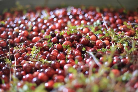 女性40岁之后做好5件事有益于健康,记住要做好这三件事