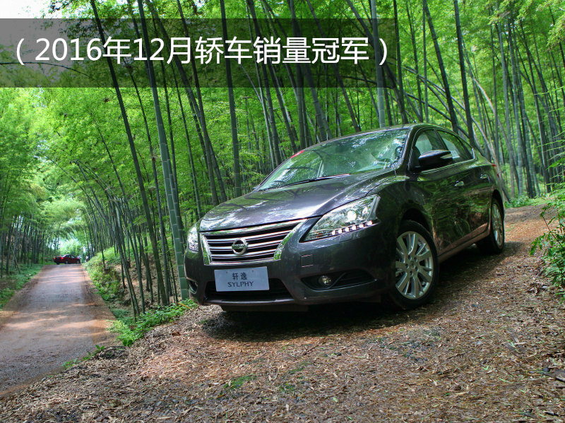 2016年到2020年新能源汽车销量,2016年11月汽车销量排行榜