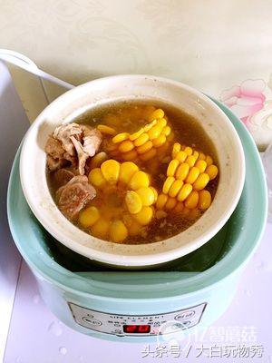 生活元素h1炖盅内胆,生活元素电煮锅测评