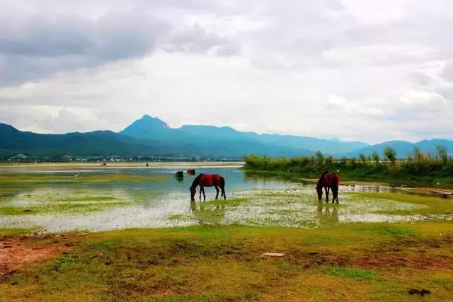 云南大理丽江六日游长春出发,长春到云南大理丽江旅游全攻略
