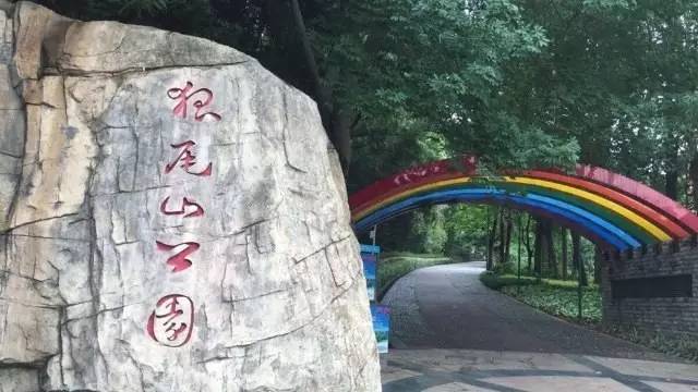 厦门可以爬的山有哪些地方,厦门这些景点你都去过吗