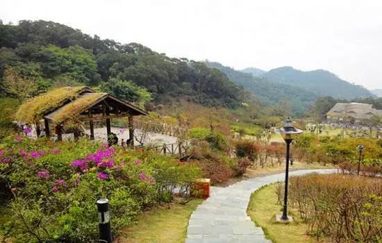 厦门可以爬的山有哪些地方,厦门这些景点你都去过吗